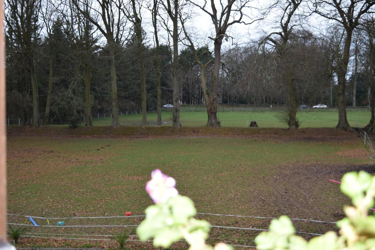 Senneville-sur-FécampChez Kate Et Lolo住宿加早餐旅馆 外观 照片